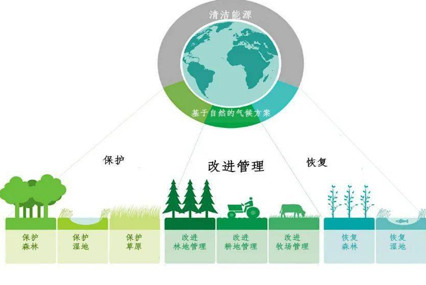 河北碳達峰碳中和工作這樣干