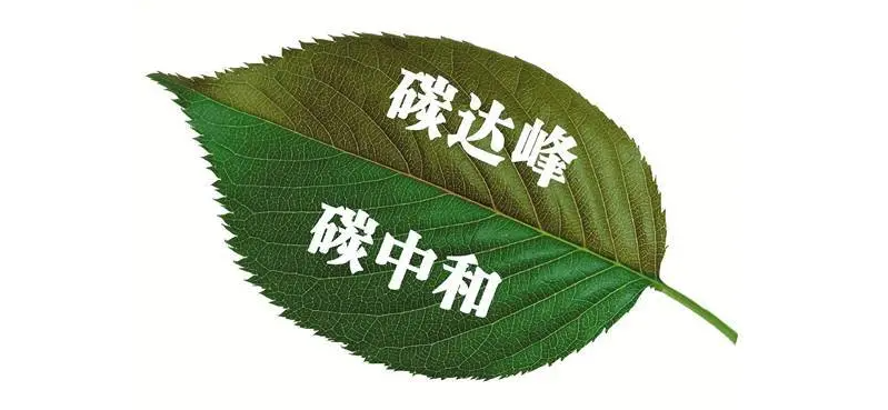 穩(wěn)中求進:如期實現(xiàn)“雙碳”目標愿景