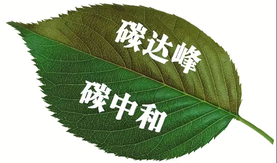 如何有序推動碳達(dá)峰碳中和