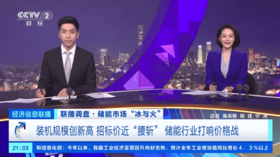 招標價近“腰斬”!儲能市場“冰與火”,專家企業代表解讀!